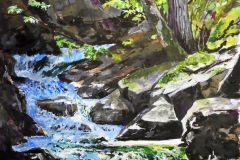 Sunlight on Fallingbrook