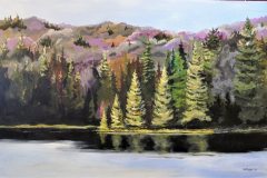Brewer Lake Algonquin Park