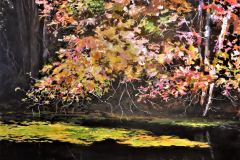 Fall Colours Along the Muskrat