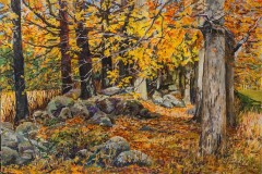105-Stone-Fence-and-Autumn-Maples-25x37-Dec-1-2022