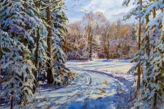112-Sun-On-Winter-Pond-20x24-Dec-23-2022