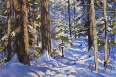 Shadows on Winter Pines
