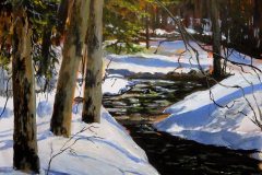 Sun on Snow