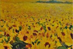 Sunflowers for Ukrania