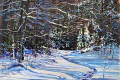 Snow Trails Shadows