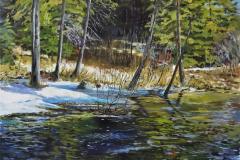 Spring Sun on Fallingbrook