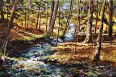Spring Water Fall
