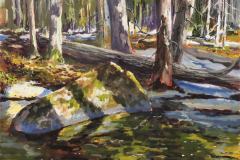 Sunlit Rock in Stream