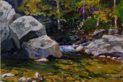 Blakeny Waters