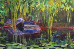 Reeds rocks and Reflections