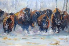 Buffalo in Snow