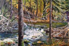 Fallingbrook Spring Waters