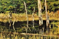Marsh Morning Sun