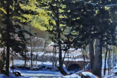 Golden Sunlight on Fallingbrook