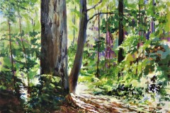68-Old-Ghost-on-Forest-Trail-9x12-July-5-2022-Copy