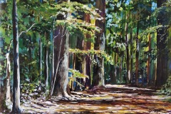 Grove Trails
