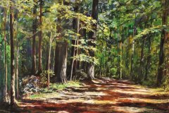 Grove Trails Silent Giants