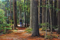 A Walk Through the Grove