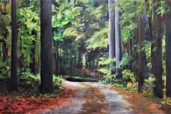Drive through the Grove