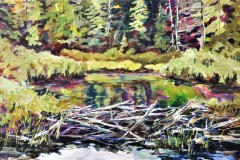 78-Algonquin-Beaver-Dam-15x24-Aug-13-2022-Copy