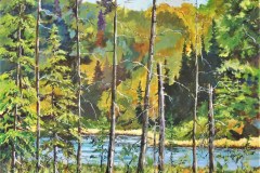 Algonquin Sentinels
