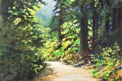 82-Sunlit-Forest-Pathway-16x20-Aug-20-2022-Copy