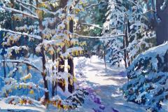 Sunlight On Forest Trail
