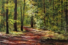 Grove Spring Sunlight