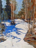 12-Path-Behind-Mowat-Lodge-after-Tom-Thomson-16x20-2nd