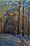 13-Snow-Trails-Late-Afternoon-24x36-Jan-30-2023-