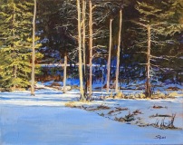 4-Fallingbrook-Pond-Sun-and-Shadows-16x20-Jan-12-2023