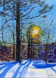 26-Pine-in-Setting-Sun-16x20-Mar-15-2023