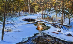 27-Reflections-on-Fallingbrook-12x20-Mar-17-2023