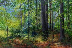 44-Forest-Glory-20x30-June-10-2023