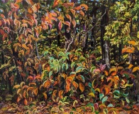 63-Walkway-Tangle-McMichael-Gallery-Grounds-16x20-Sept-29-2023