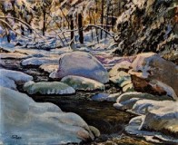 7-Fallingbrook-Winter-Joy-Jan-18-2023