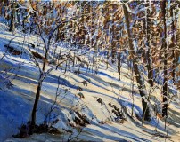 8-Snow-Sun-and-Shadows-16x20-Jan-19-2023