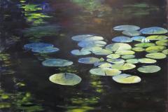 Sunlight on Lilypads
