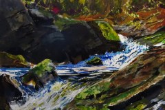 Sunlight on Falling Waters