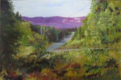 Down the Whelan Road